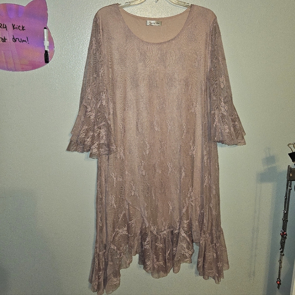 Paisley Vine Pink Ruffled Lave Overlay Midi Dress Plus Size Womens 22W Floral